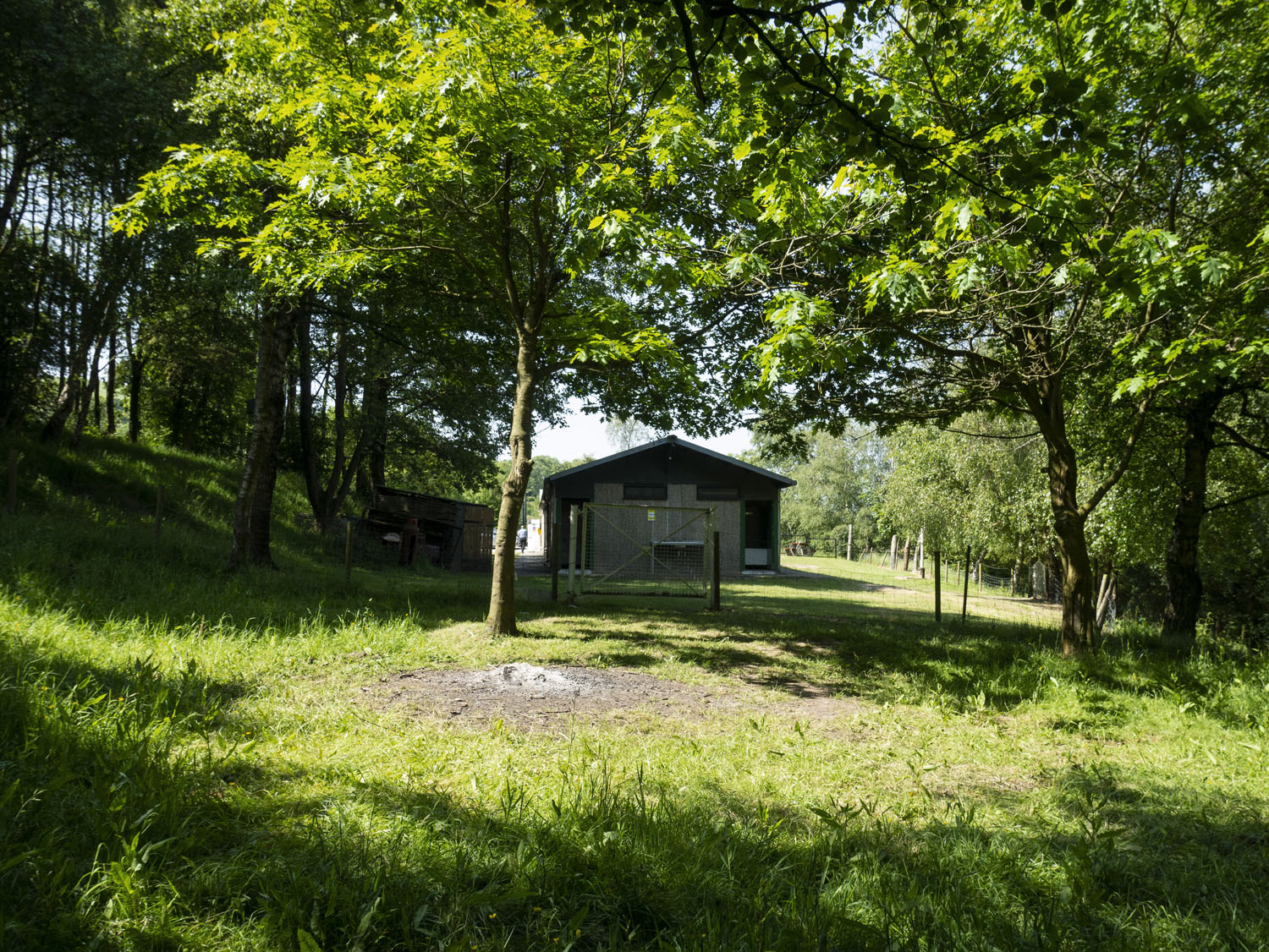 02_BUILDING EYE LEVEL C