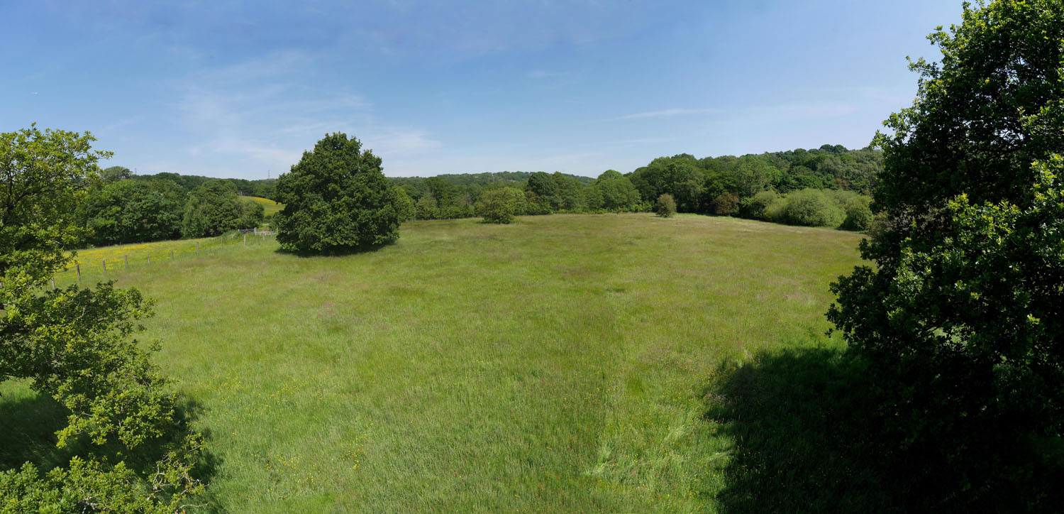 11_BULLRING AERIAL 02