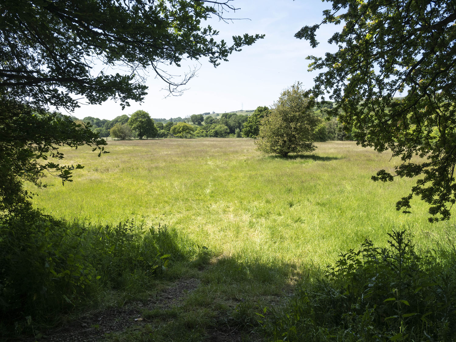 11_BULLRING EYE LEVEL ENTRANCE