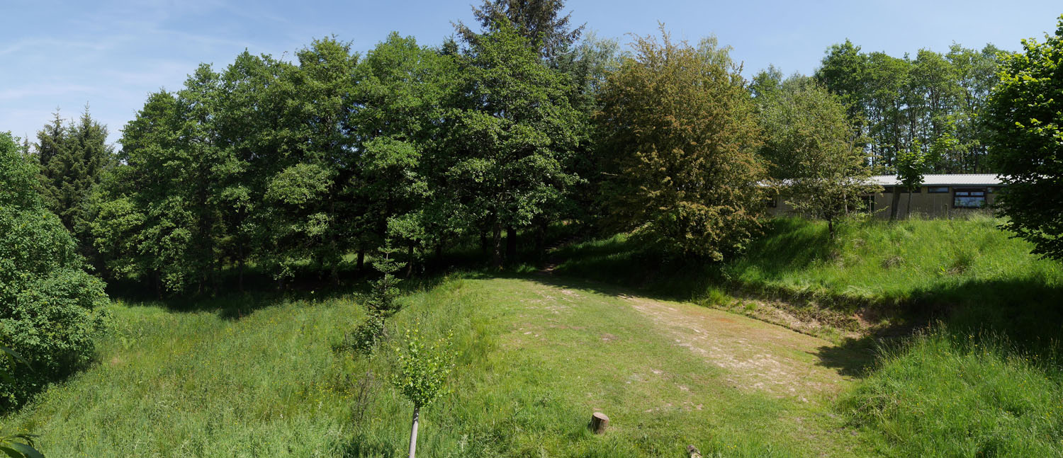 05 HIGHER PHOENIX 01